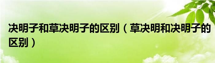 決明子和草決明子的區(qū)別（草決明和決明子的區(qū)別）