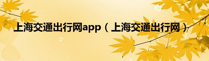 上海交通出行網(wǎng)app（上海交通出行網(wǎng)）