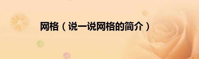 網(wǎng)格（說一說網(wǎng)格的簡介）