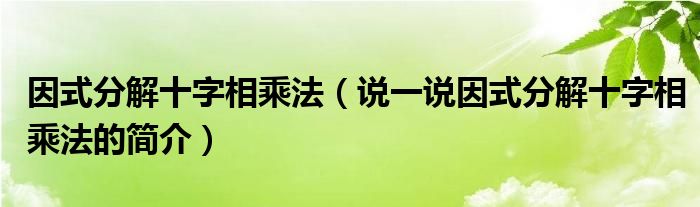 因式分解十字相乘法（說一說因式分解十字相乘法的簡(jiǎn)介）