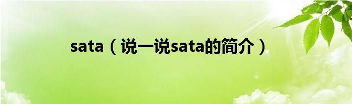 sata（說(shuō)一說(shuō)sata的簡(jiǎn)介）