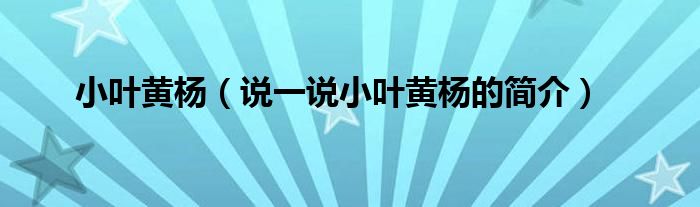 小葉黃楊（說一說小葉黃楊的簡介）