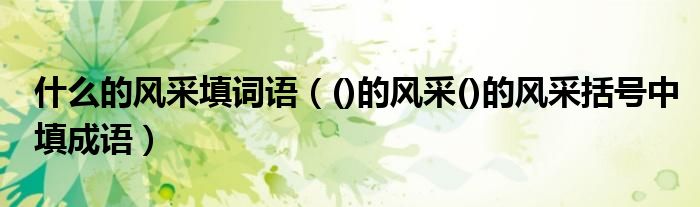 什么的風(fēng)采填詞語（()的風(fēng)采()的風(fēng)采括號(hào)中填成語）