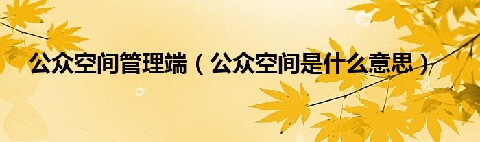 公眾空間管理端（公眾空間是什么意思）