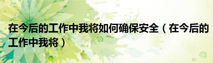 在今后的工作中我將如何確保安全（在今后的工作中我將）