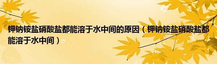 鉀鈉銨鹽硝酸鹽都能溶于水中間的原因（鉀鈉銨鹽硝酸鹽都能溶于水中間）