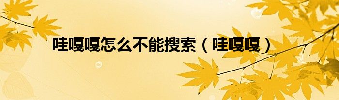 哇嘎嘎怎么不能搜索（哇嘎嘎）
