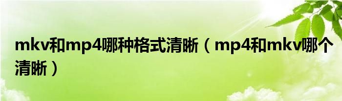mkv和mp4哪種格式清晰（mp4和mkv哪個(gè)清晰）