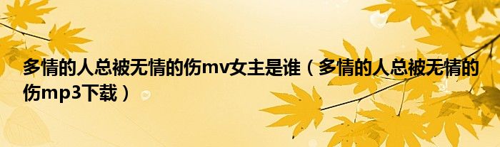 多情的人總被無情的傷mv女主是誰（多情的人總被無情的傷mp3下載）