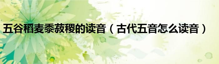 五谷稻麥黍菽稷的讀音（古代五音怎么讀音）