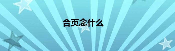合頁念什么