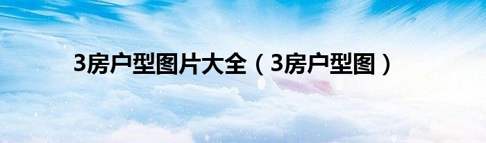 3房戶型圖片大全（3房戶型圖）
