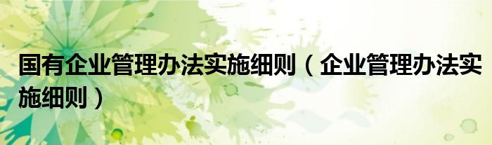 國(guó)有企業(yè)管理辦法實(shí)施細(xì)則（企業(yè)管理辦法實(shí)施細(xì)則）