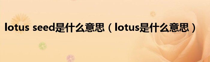 lotus seed是什么意思（lotus是什么意思）
