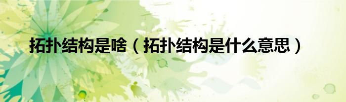 拓?fù)浣Y(jié)構(gòu)是啥（拓?fù)浣Y(jié)構(gòu)是什么意思）