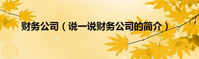 財務公司（說一說財務公司的簡介）