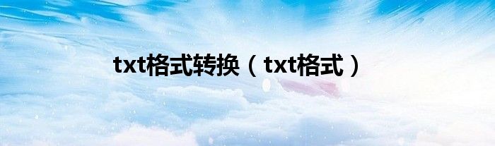 txt格式轉(zhuǎn)換（txt格式）