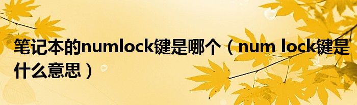 筆記本的numlock鍵是哪個(gè)（num lock鍵是什么意思）