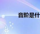 音階是什么意思（音階是什么）