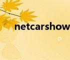 netcarshow變成雪花（netcarshow）