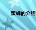 蜜蜂的介紹30字左右（蜜蜂的介紹）