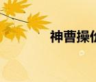 神曹操價格多少錢（神曹操）