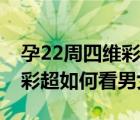 孕22周四維彩超數(shù)據(jù)表分男女（孕22周四維彩超如何看男女）