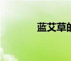 藍(lán)艾草的全部小說（藍(lán)艾草）