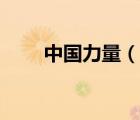 中國力量（說一說中國力量的簡介）