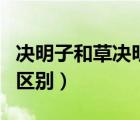 決明子和草決明子的區(qū)別（草決明和決明子的區(qū)別）