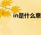 in是什么意思網(wǎng)絡(luò)（in是什么意思）