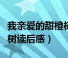 我親愛的甜橙樹好詞好句摘抄（我親愛的甜橙樹讀后感）