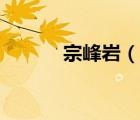 宗峰巖（說(shuō)一說(shuō)宗峰巖的簡(jiǎn)介）