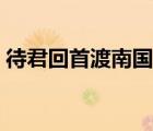 待君回首渡南國全本下載（待君回首渡南國）