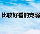 比較好看的寵溺小說(shuō)（好看的寵溺甜文小說(shuō)）