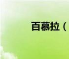 百慕拉（說一說百慕拉的簡(jiǎn)介）
