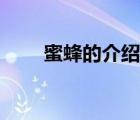 蜜蜂的介紹以及特點(diǎn)（蜜蜂的介紹）