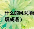 什么的風(fēng)采填詞語（()的風(fēng)采()的風(fēng)采括號(hào)中填成語）