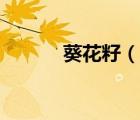 葵花籽（說一說葵花籽的簡介）