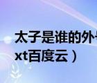 太子是誰的外號娛樂圈（娛樂圈之太子駕到txt百度云）