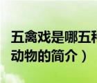 五禽戲是哪五種動(dòng)物（說一說五禽戲是哪五種動(dòng)物的簡介）