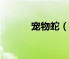 寵物蛇（說一說寵物蛇的簡(jiǎn)介）