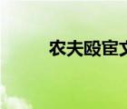 農夫毆宦文言文翻譯（農夫毆宦）