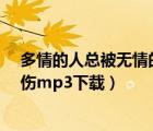 多情的人總被無(wú)情的傷mv女主是誰(shuí)（多情的人總被無(wú)情的傷mp3下載）
