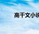 高干文小說 有肉（高干寵文有肉）