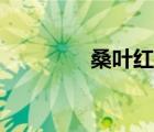 桑葉紅個(gè)人資料（桑葉紅）