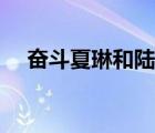 奮斗夏琳和陸濤好是哪一集（奮斗夏琳）