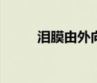 淚膜由外向內分為哪三層（淚膜）