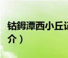 鈷鉧潭西小丘記（說一說鈷鉧潭西小丘記的簡介）