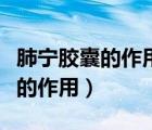 肺寧膠囊的作用與功效多少錢一盒（肺寧膠囊的作用）